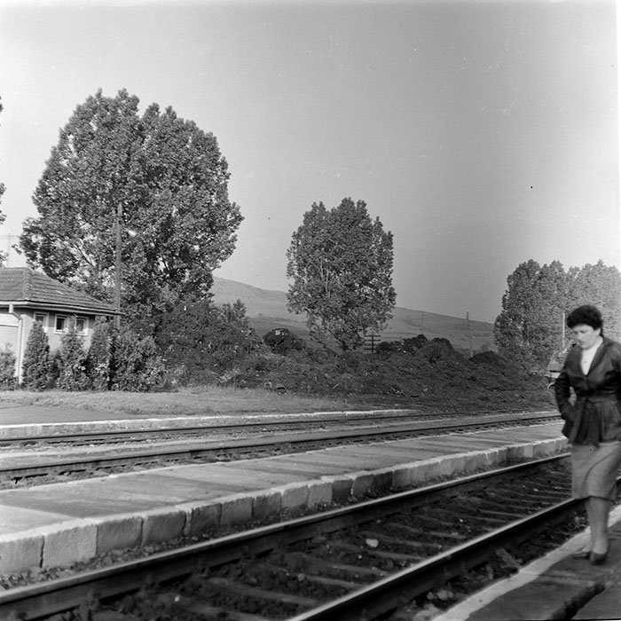 minerva_1971_c3_c3r3_001