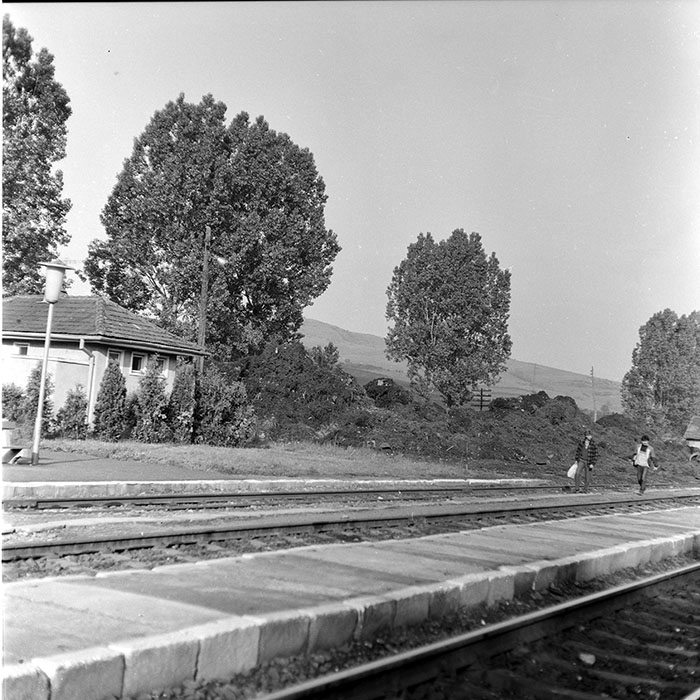 minerva_1971_c3_c3r3_002