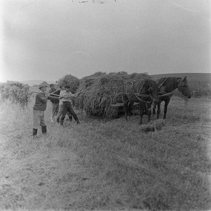 minerva_1971_c3_c4r2_001