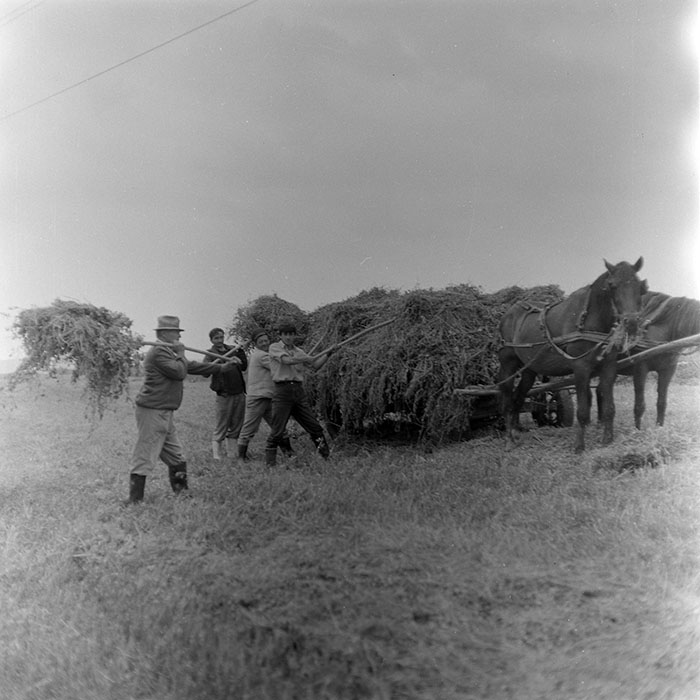 minerva_1971_c3_c4r2_002