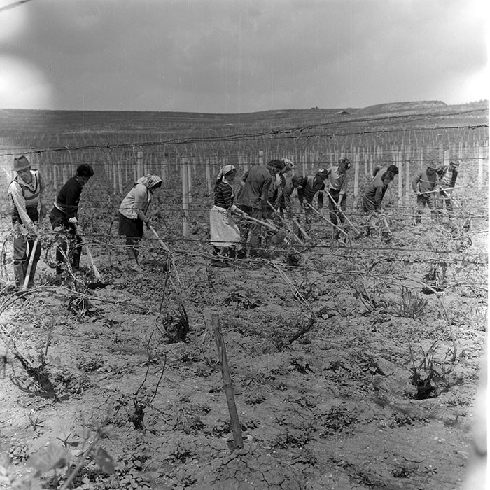 minerva_1971_c3_c4r4_021