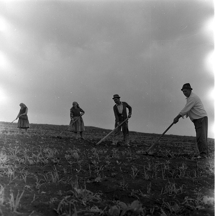 minerva_1971_c3_c4r4_024