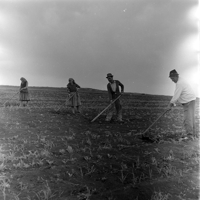 minerva_1971_c3_c4r4_025