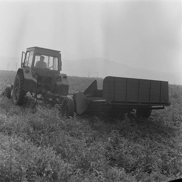 minerva_1971_c3_c5r4_001