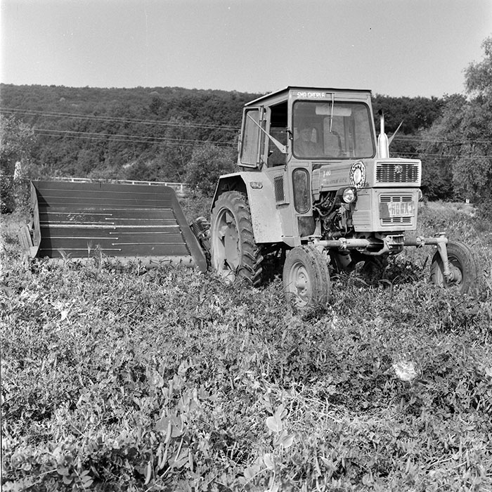 minerva_1971_c3_c5r4_002