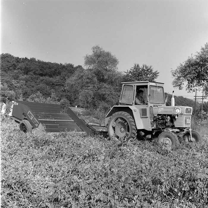 minerva_1971_c3_c5r4_003