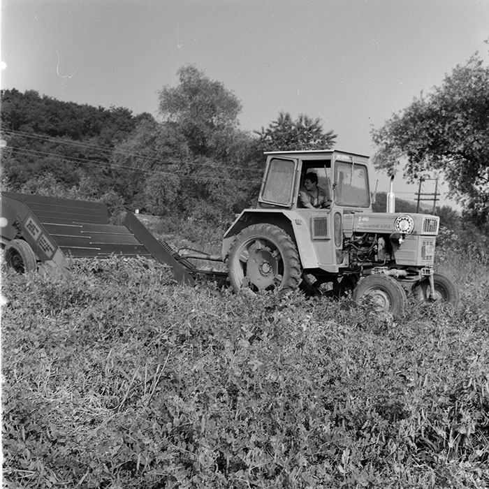 minerva_1971_c3_c5r4_004