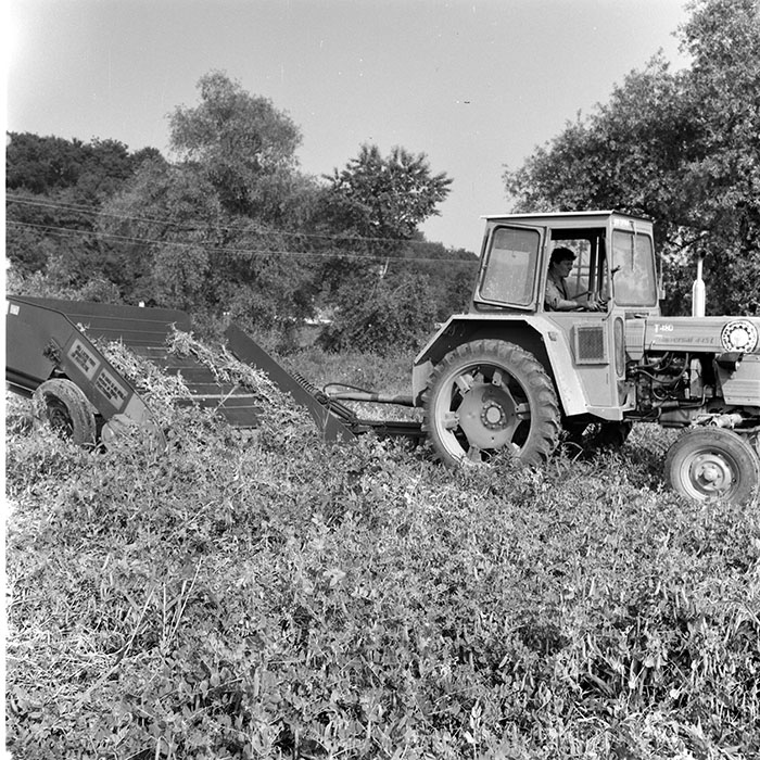 minerva_1971_c3_c5r4_005