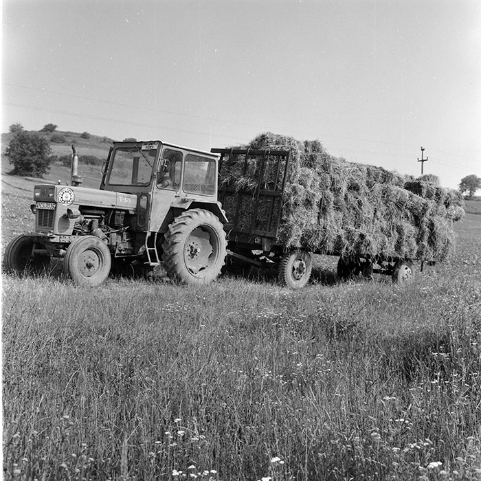 minerva_1971_c3_c5r4_008