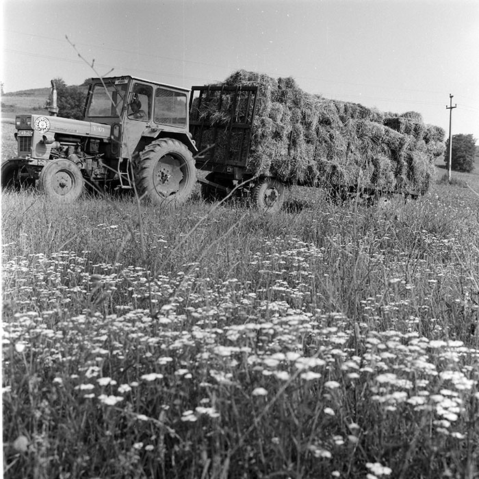 minerva_1971_c3_c5r4_009