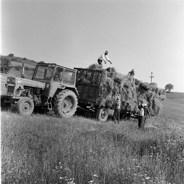 minerva_1971_c3_c5r4_010