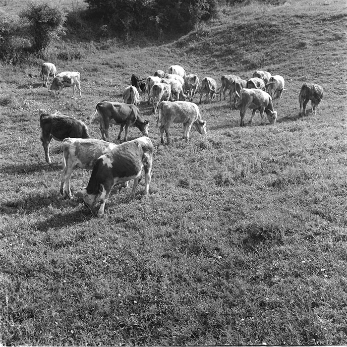 minerva_1971_c3_c5r4_011