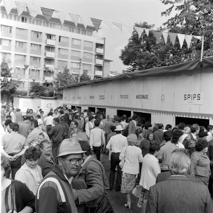 minerva_1971_c3_c6r1_006