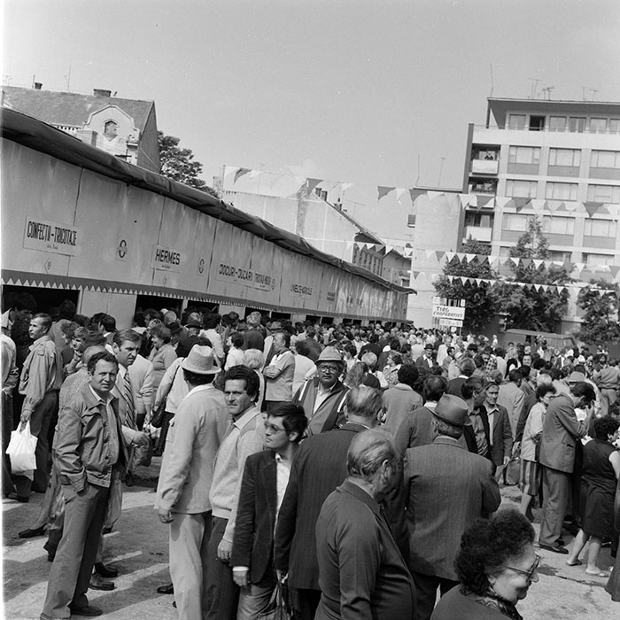 minerva_1971_c3_c6r1_007