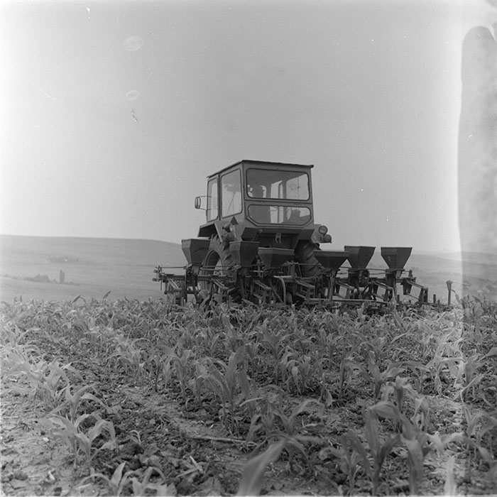 minerva_1971_c3_c6r5_001