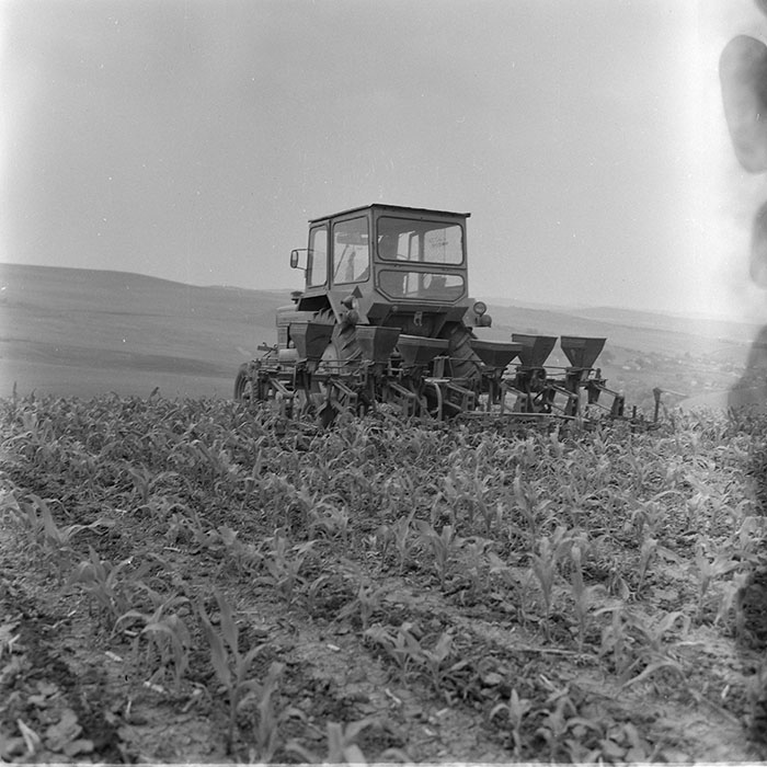 minerva_1971_c3_c6r5_003