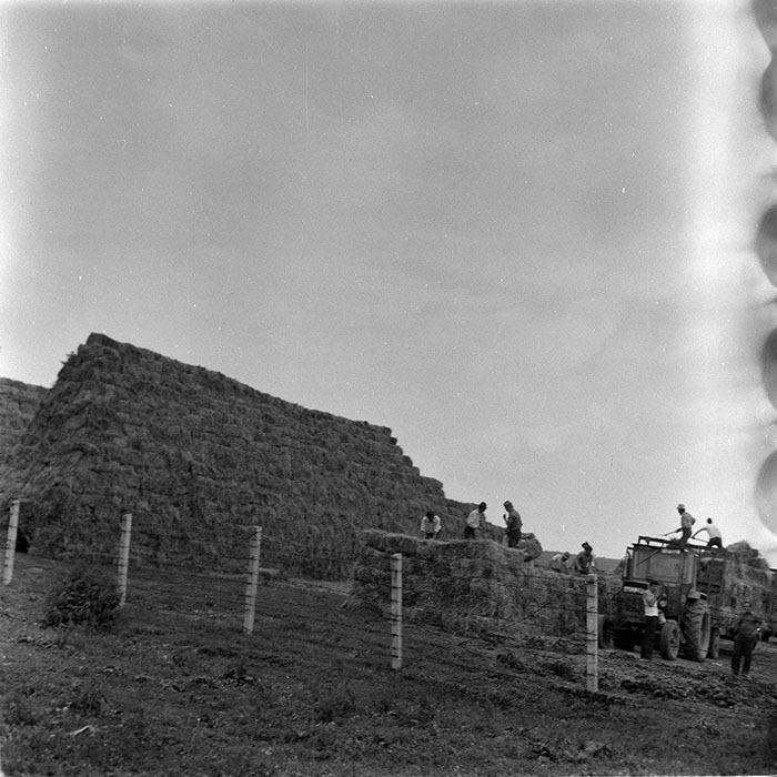 minerva_1971_c3_c6r5_004