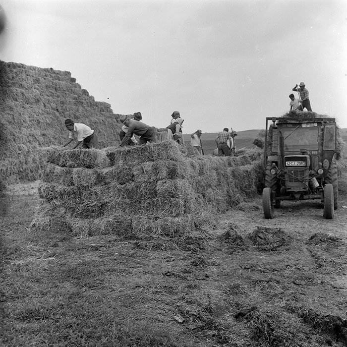 minerva_1971_c3_c6r5_005