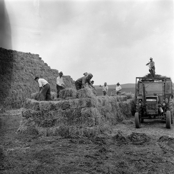 minerva_1971_c3_c6r5_006