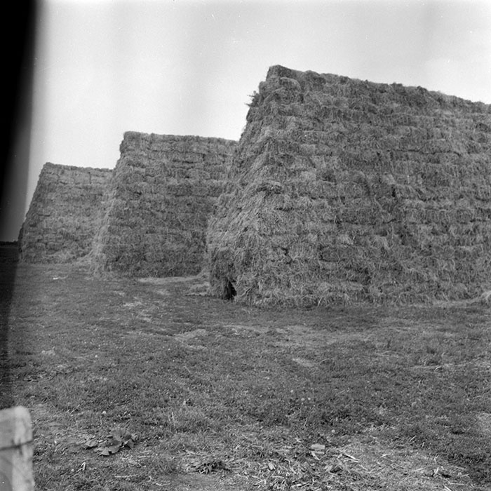 minerva_1971_c3_c6r5_007