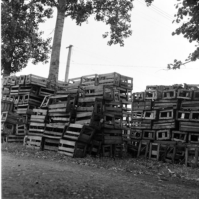 minerva_1971_c3_c7r1_002