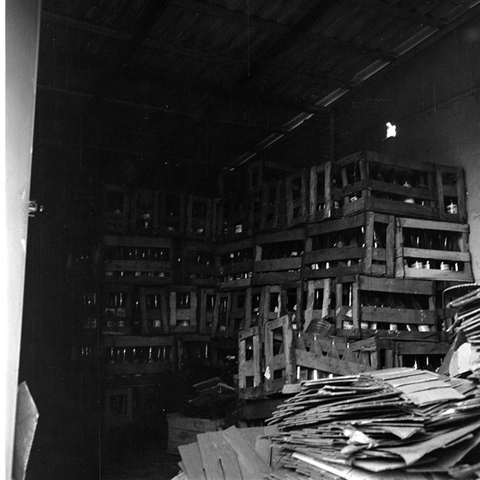 minerva_1971_c3_c7r1_003