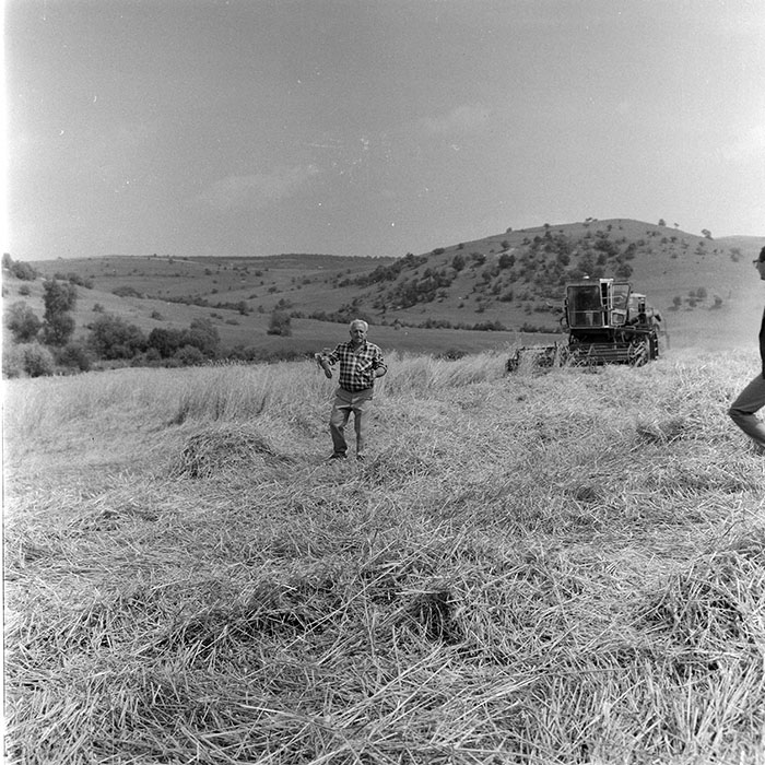 minerva_1971_c3_c7r3_005