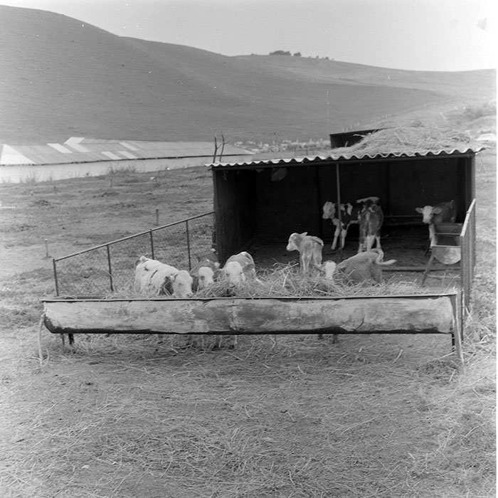 minerva_1971_c3_c7r4_007