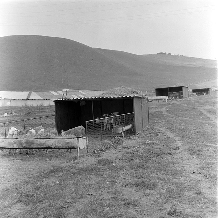 minerva_1971_c3_c7r4_009