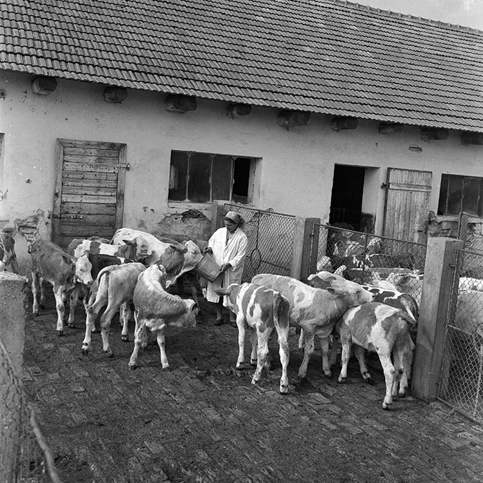 minerva_1972_c4_c1r5_006