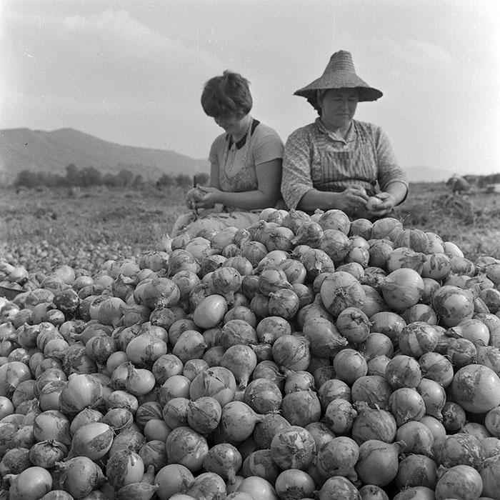 minerva_1972_c4_c2r1_001