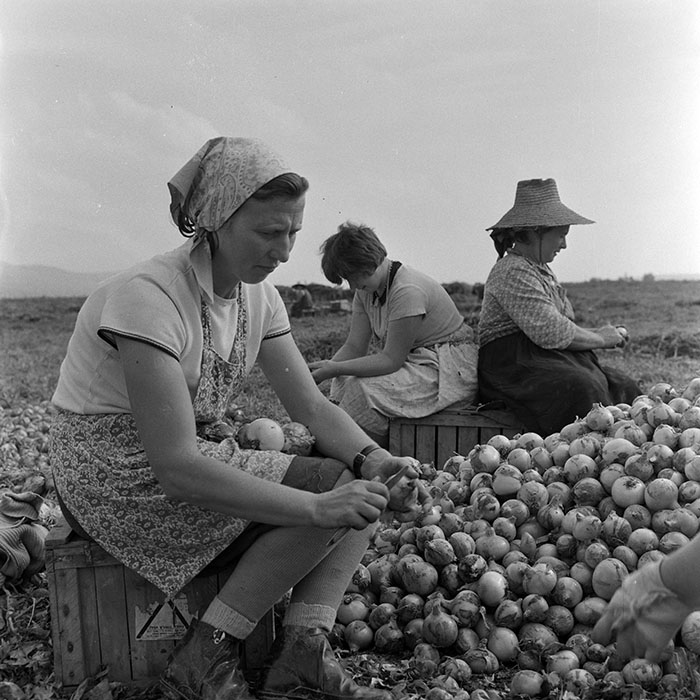 minerva_1972_c4_c2r1_002