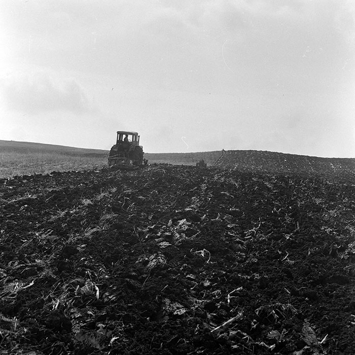 minerva_1972_c4_c2r2_003