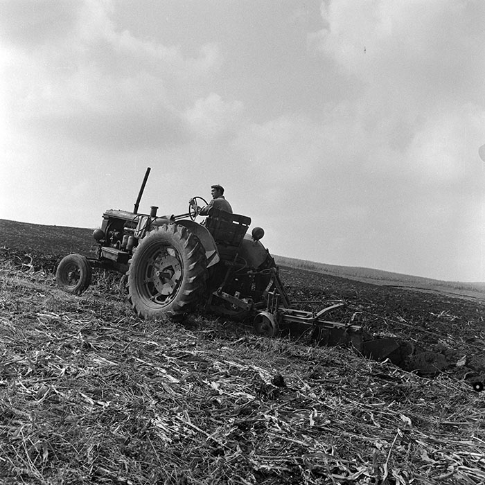 minerva_1972_c4_c2r2_006