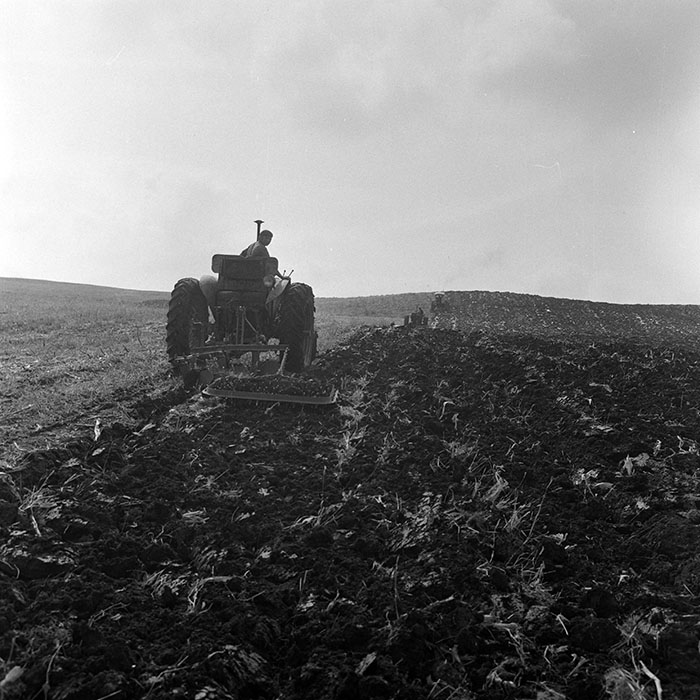 minerva_1972_c4_c2r2_007