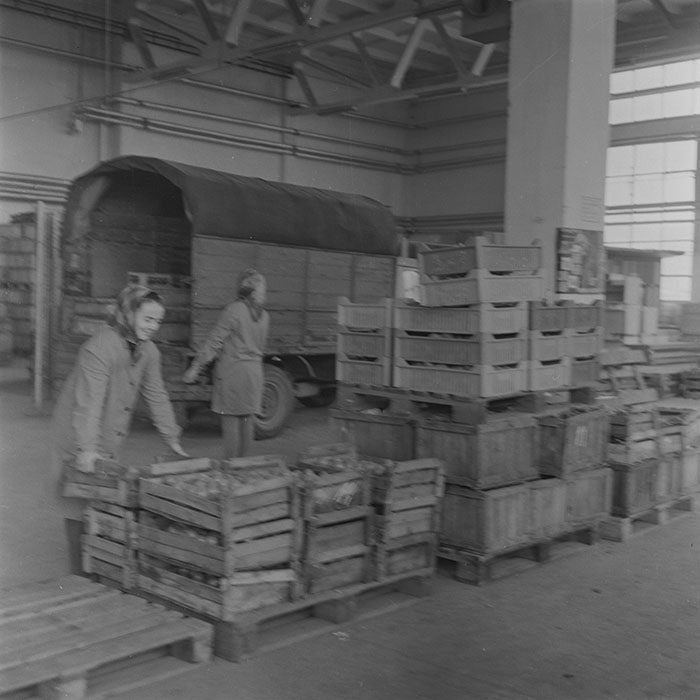 minerva_1972_c4_c3r3_001