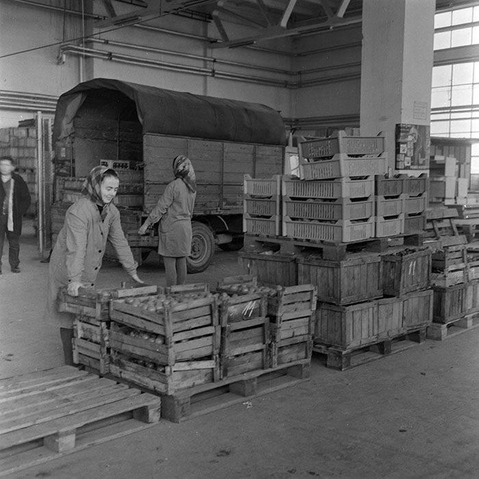 minerva_1972_c4_c3r3_002