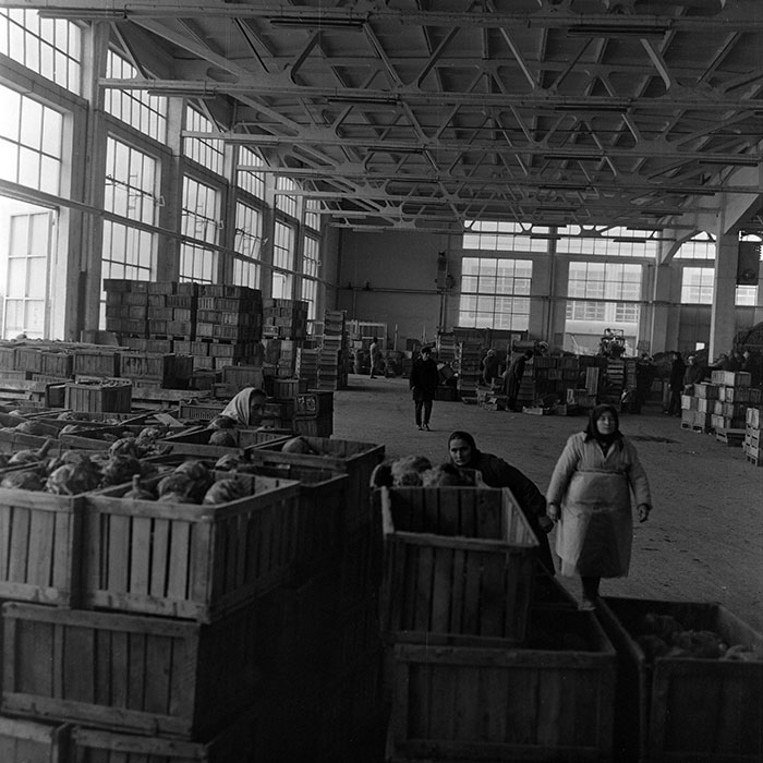 minerva_1972_c4_c3r3_004