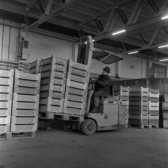 minerva_1972_c4_c3r3_005