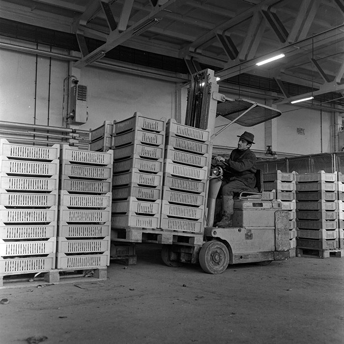 minerva_1972_c4_c3r3_006