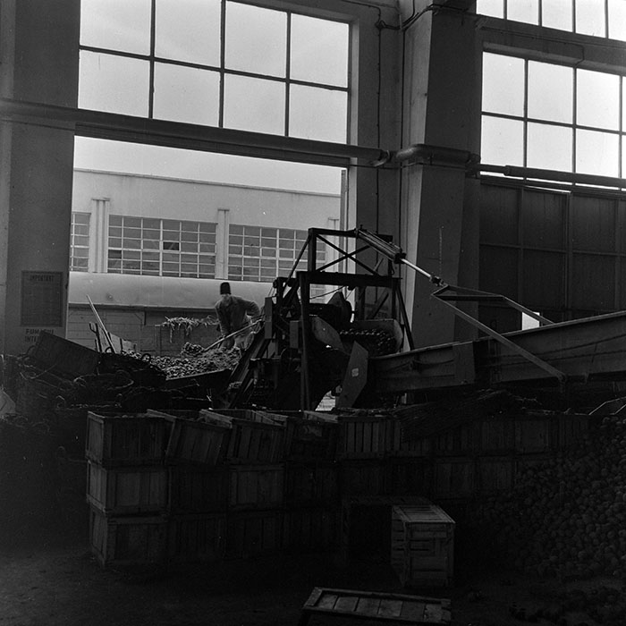 minerva_1972_c4_c3r3_007