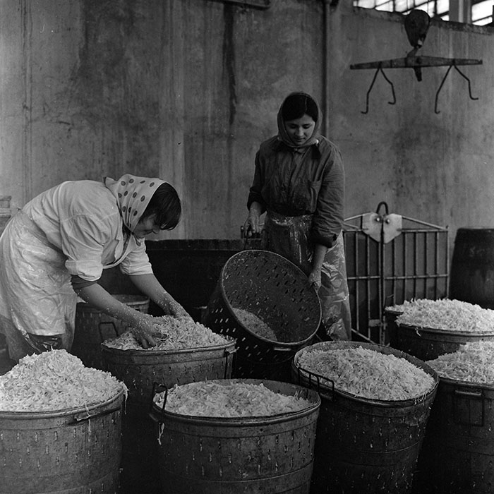 minerva_1972_c4_c3r3_009