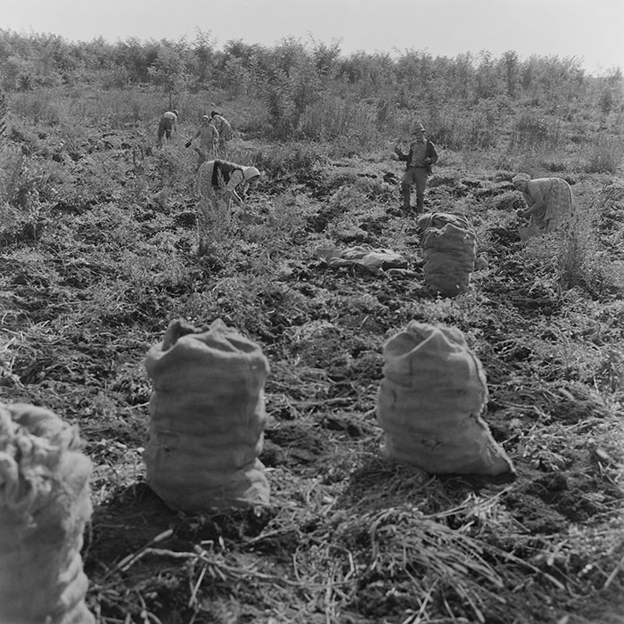 minerva_1972_c4_c3r5_009