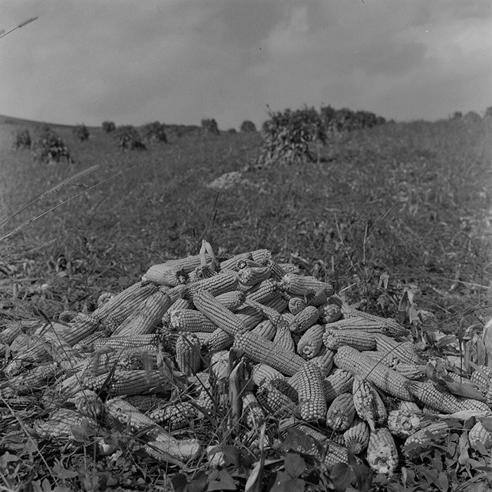 minerva_1972_c4_c3r5_010