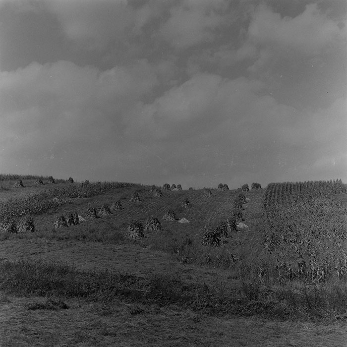 minerva_1972_c4_c3r5_011