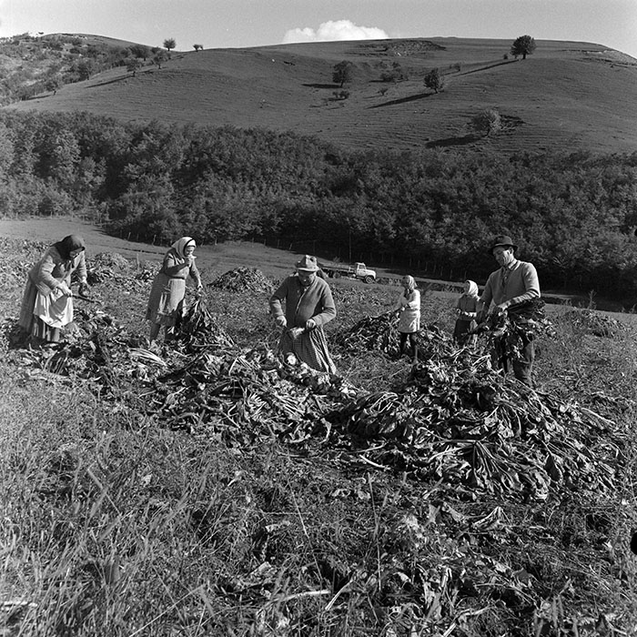 minerva_1972_c4_c3r5_016