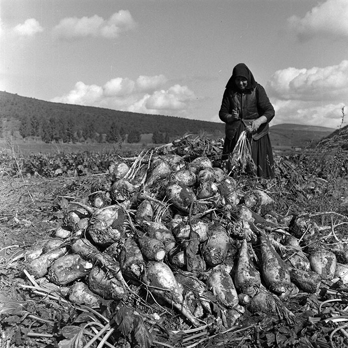 minerva_1972_c4_c3r5_018