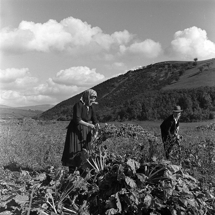 minerva_1972_c4_c3r5_019