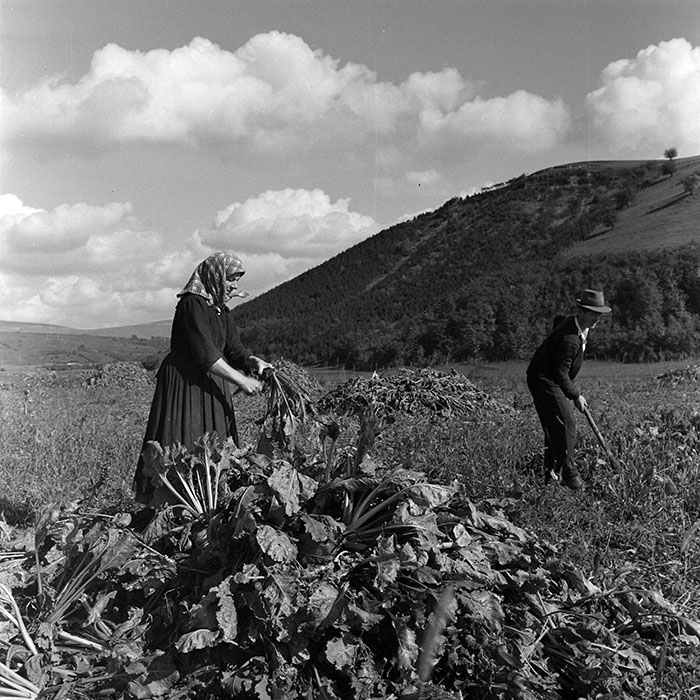 minerva_1972_c4_c3r5_020