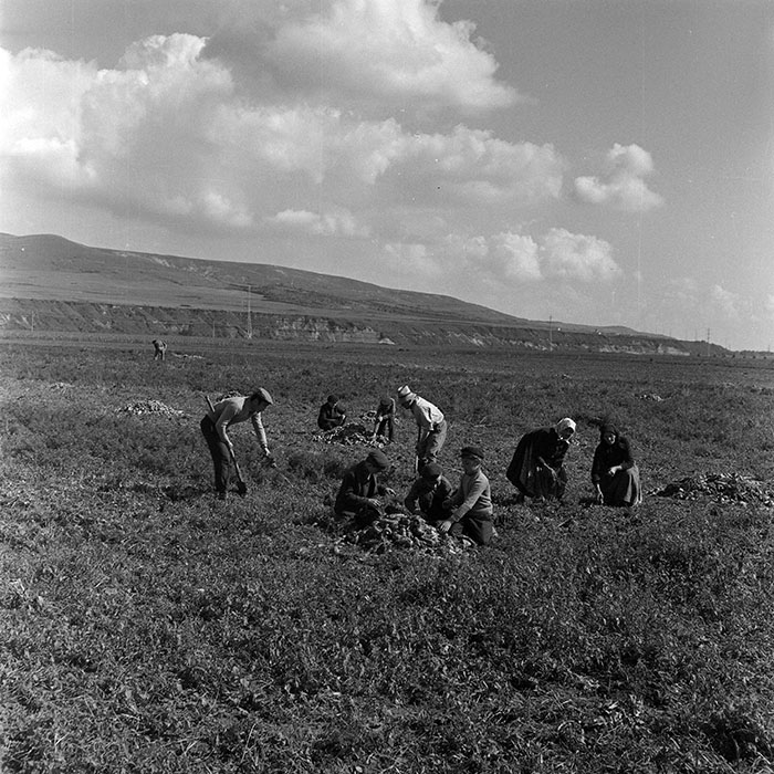 minerva_1972_c4_c3r5_021